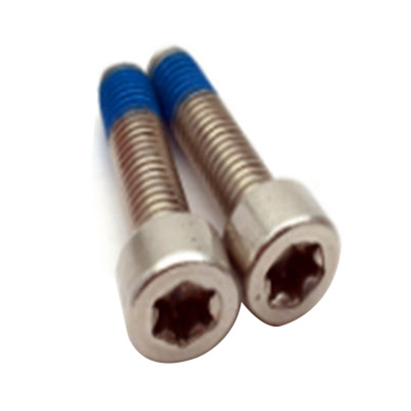 ISO14579 ny design m6 torx med stift nylonpläterad medicinsk skruv ISO14579 ny design m6 torx med stift nylonpläterad medicinsk skruv
