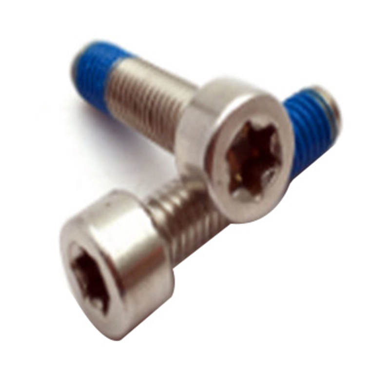 ISO14579 ny design m6 torx med stift nylonpläterad medicinsk skruv ISO14579 ny design m6 torx med stift nylonpläterad medicinsk skruv